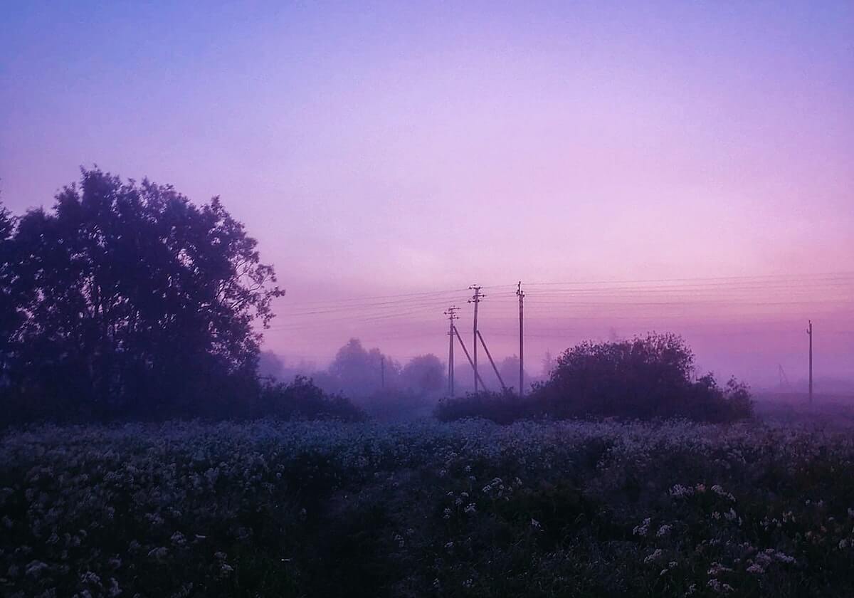 新澳图库-一键查询-差异说明，澳彩图库手机app官方版下载